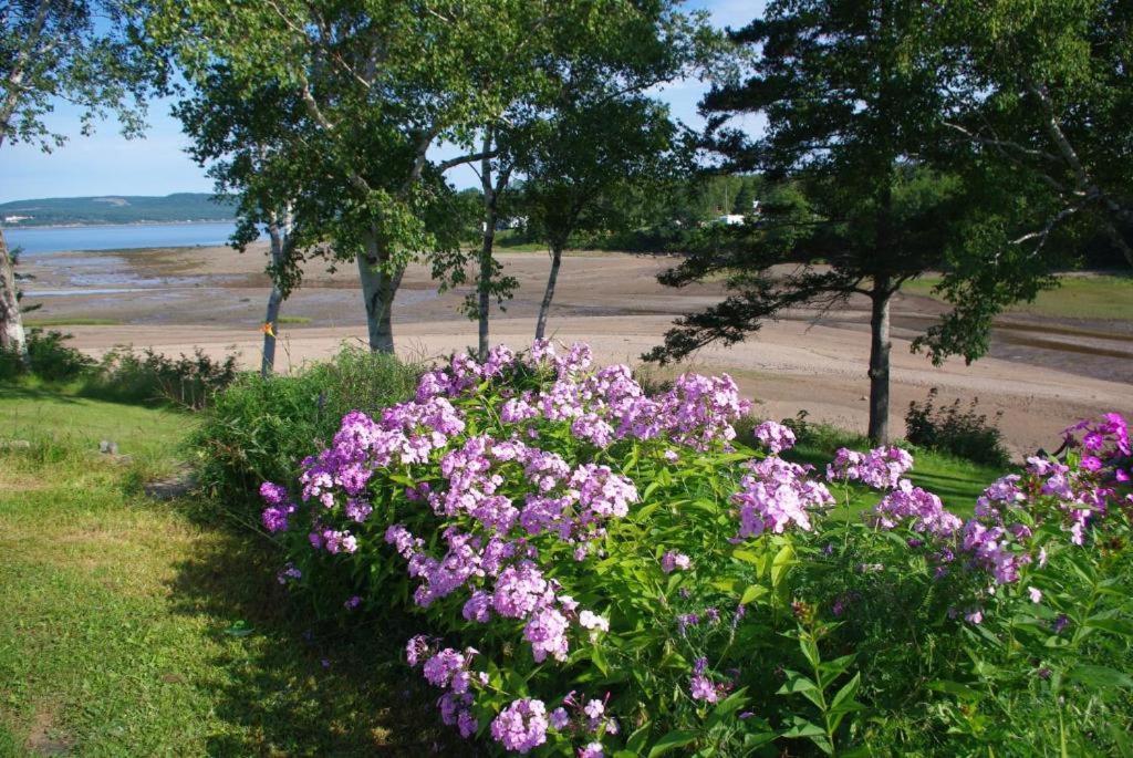 Hedley House Inn Smiths Cove 외부 사진