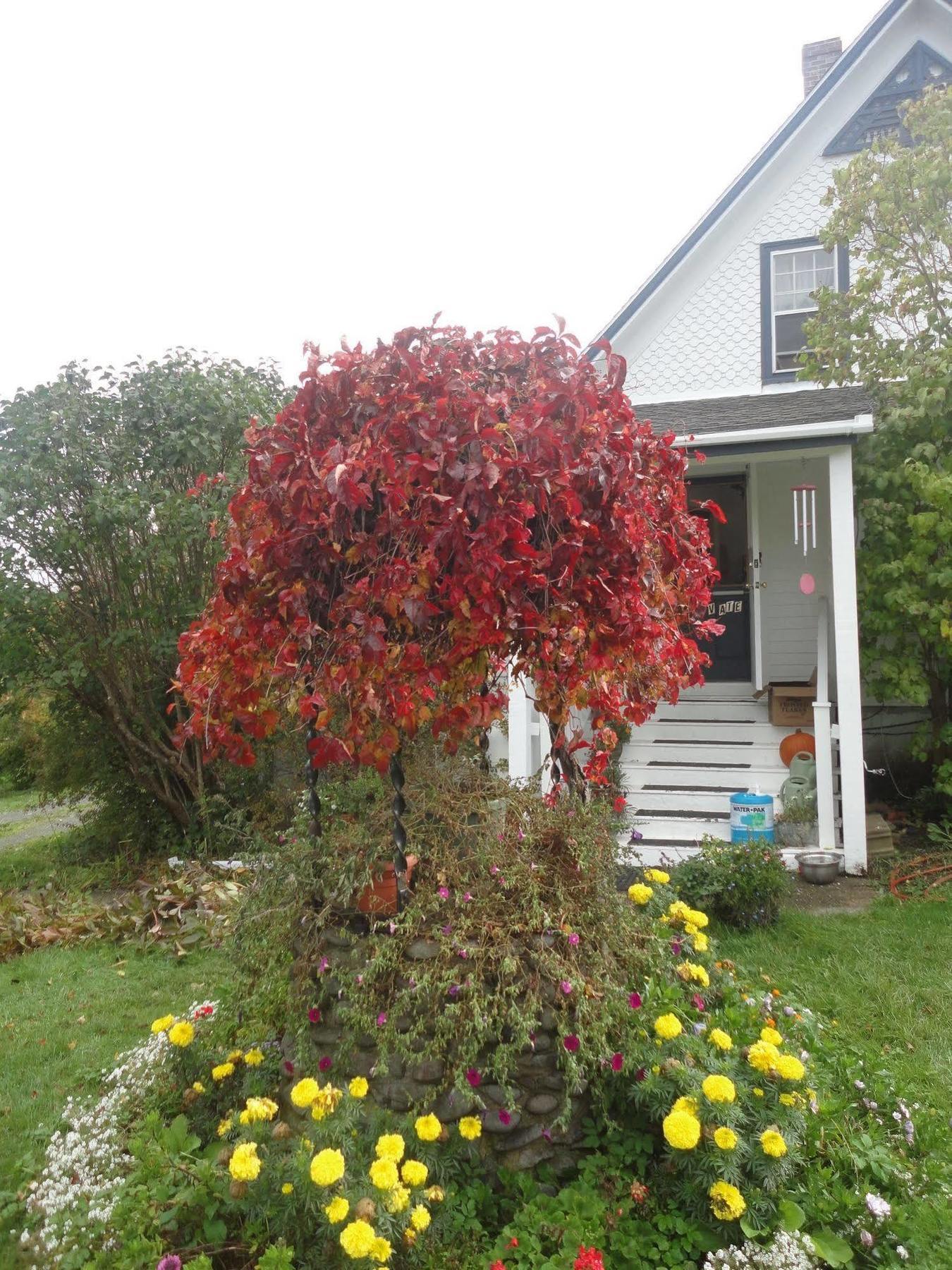 Hedley House Inn Smiths Cove 외부 사진